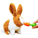 TG813 - Interactive Toy Rabbit Soft Toy With Sounds And Movement – Life Like Play Animal Toy